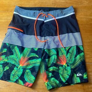 Quicksilver Division Remix Vee 20 Dry Flight Tropical Stripes Board Shorts Sz 30